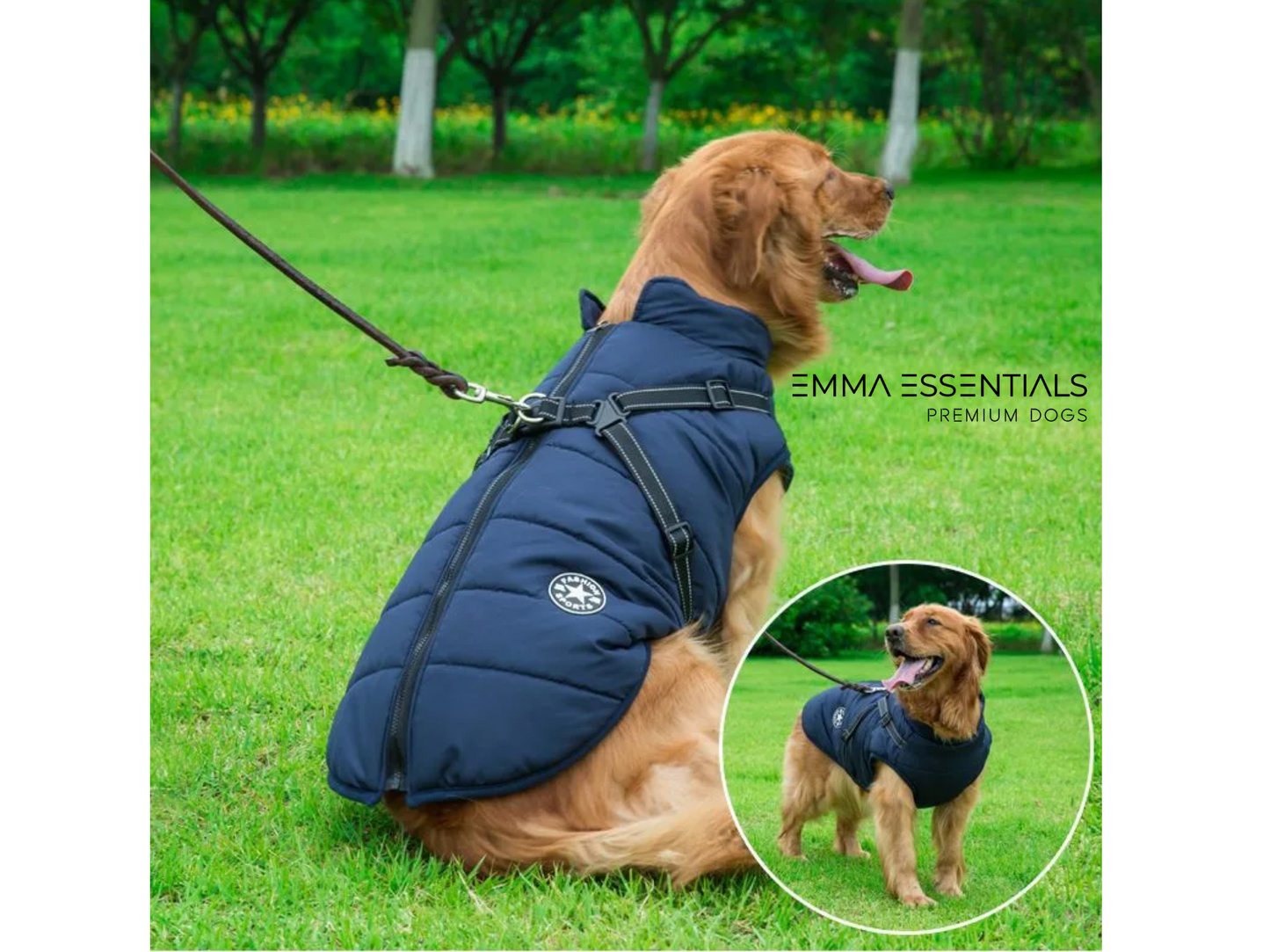 Chaqueta waterproof con arnés incluido